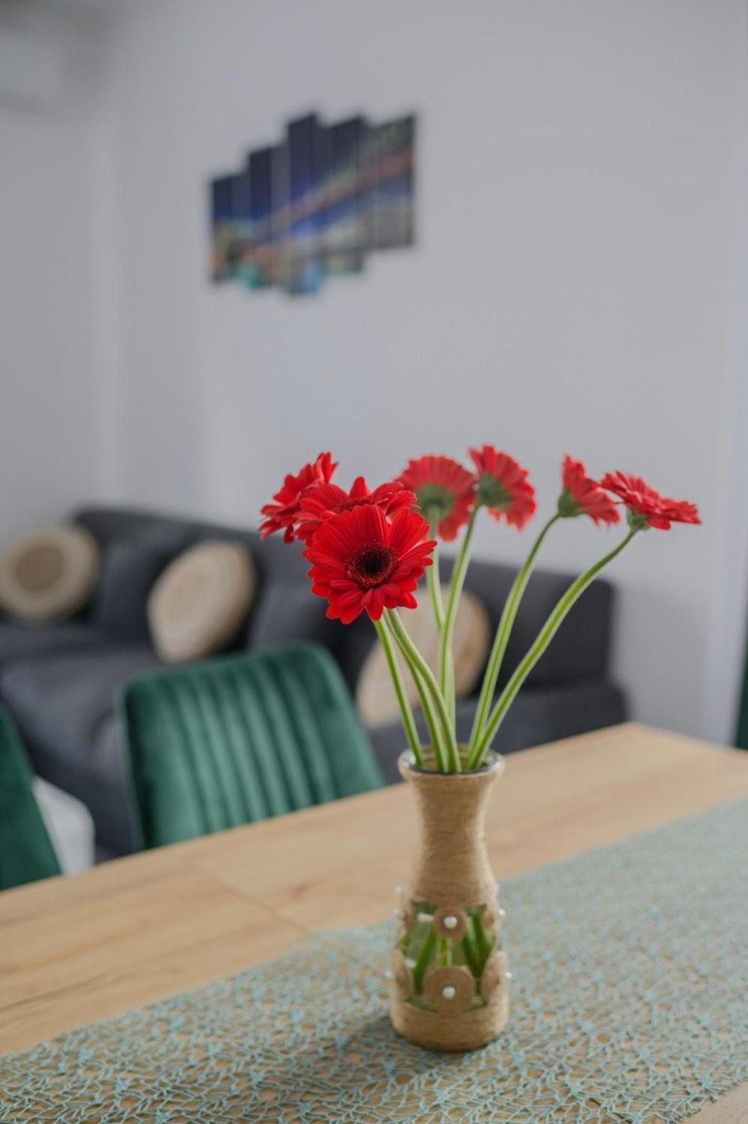 Apartament Radiana Băile Felix Esterno foto